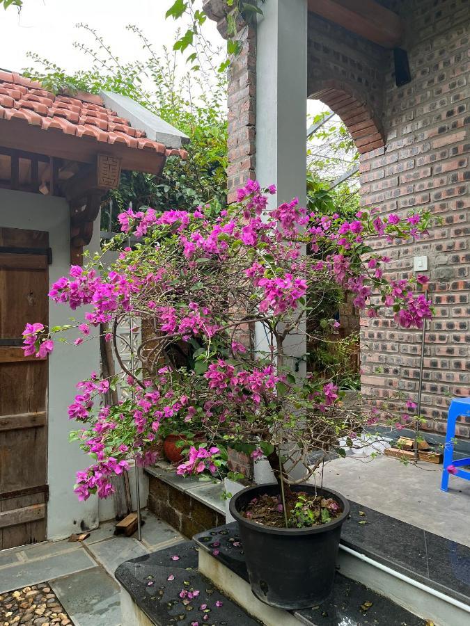 Duong Lam Village Son Tay Exteriör bild